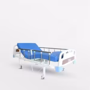 2 Motorlu Tabanca Korkuluklu Hasta Karyolası