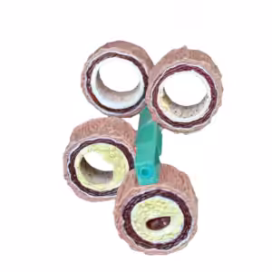 Damar Maketi Model 45