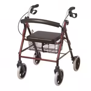 FH07C Ekonomik Rollator