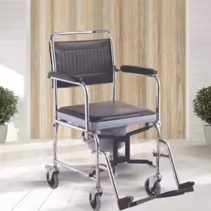 FREELY 689 Klozetli Ev Tipi Sandalye