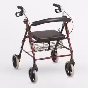 Poylin P580 Ekonomik Rollatör