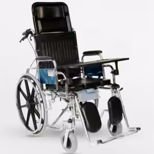 Poylin P615 Banyo Tuvalet Tekerlekli Sandalye